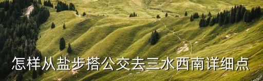 怎樣從鹽步搭公交去三水西南詳細點