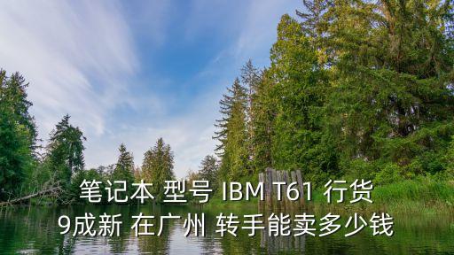 筆記本 型號 IBM T61 行貨9成新 在廣州 轉(zhuǎn)手能賣多少錢