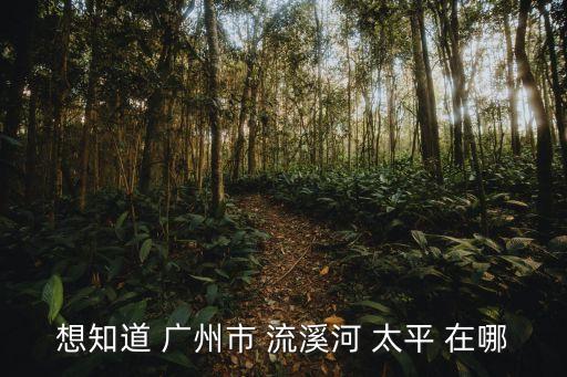 想知道 廣州市 流溪河 太平 在哪