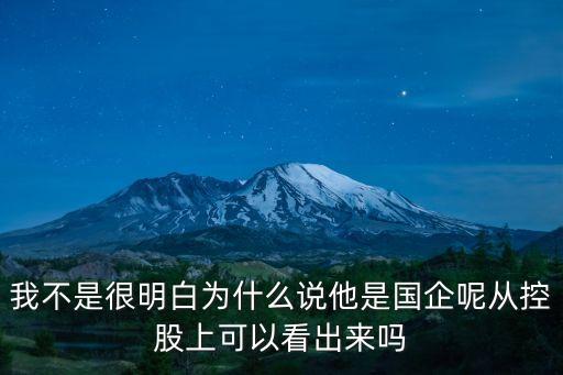 我不是很明白為什么說他是國企呢從控股上可以看出來嗎