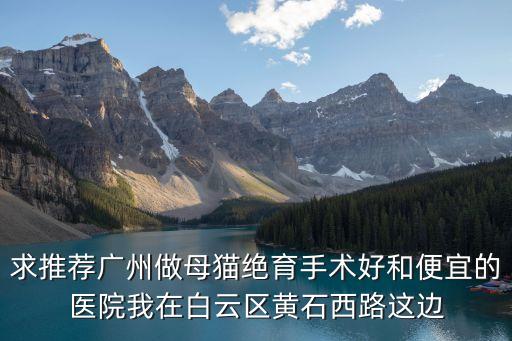 求推薦廣州做母貓絕育手術好和便宜的醫院我在白云區黃石西路這邊