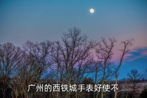 廣州的西鐵城手表好使不