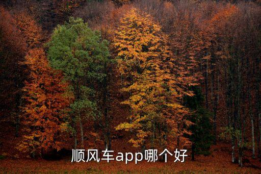 順風車app哪個好