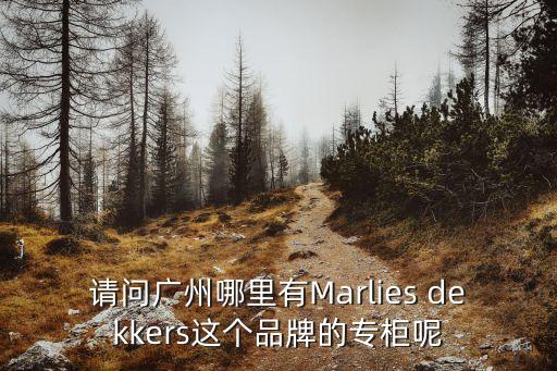 圣象地板廣州專賣店在哪里，請問廣州哪里有Marlies dekkers這個品牌的專柜呢