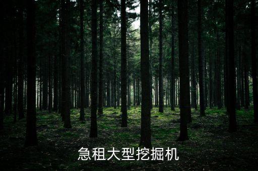 廣州大型挖機出租，急租大型挖掘機