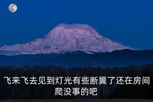 飛來飛去見到燈光有些斷翼了還在房間爬沒事的吧