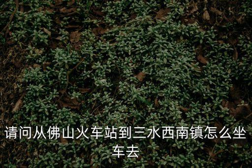 廣州三水西南鎮坐什么車去，三水汽車站到西南鎮怎么坐車
