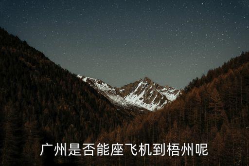 廣州坐飛機可以嗎，廣州可以坐飛機到荊州嗎