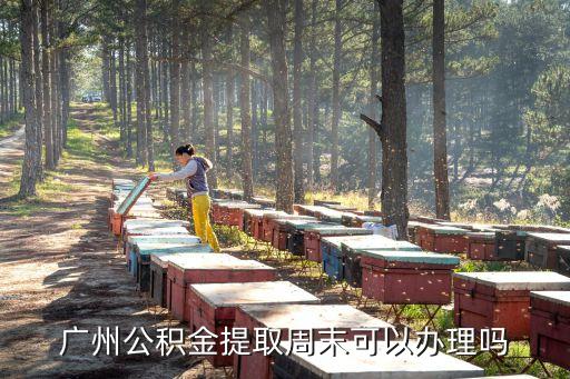 廣州公積金周末提取，廣州市的住房公積金星期天可以銀行領嗎