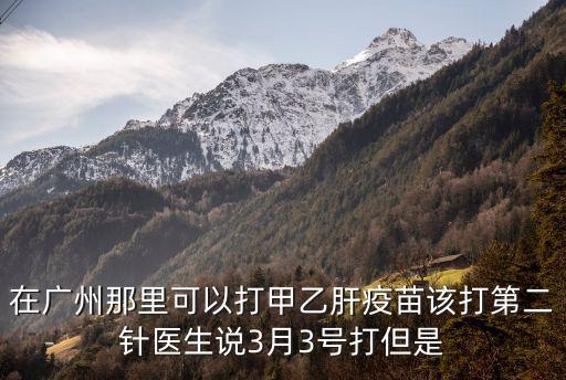 在廣州那里可以打甲乙肝疫苗該打第二針醫生說3月3號打但是
