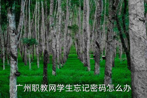 廣州職教網(wǎng)電腦版入口，廣州職教網(wǎng)用IE打不開用什么瀏覽器才能打開使用