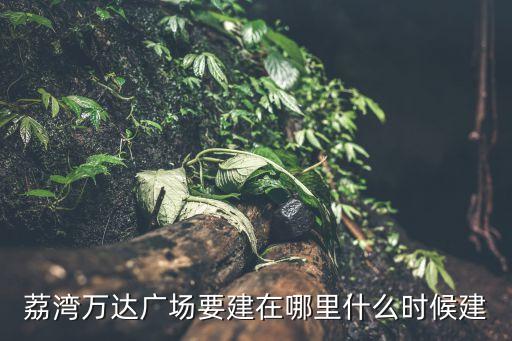 廣州萬達(dá)集團(tuán)最新投資，在白云希爾頓酒店的萬達(dá)新品推介會(huì)推的是什么地產(chǎn)項(xiàng)目