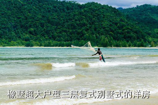 橡墅超大戶型三層復式別墅式的洋房