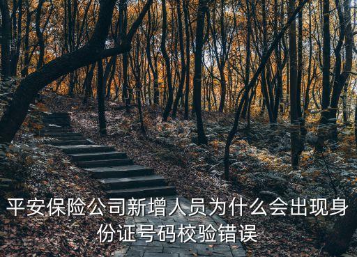 平安保險(xiǎn)公司新增人員為什么會(huì)出現(xiàn)身份證號(hào)碼校驗(yàn)錯(cuò)誤