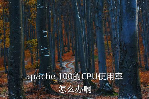 apache 100的CPU使用率 怎么辦啊