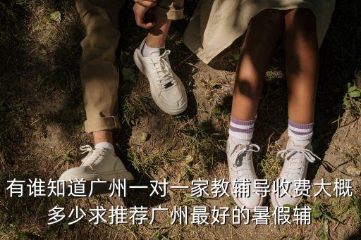 有誰(shuí)知道廣州一對(duì)一家教輔導(dǎo)收費(fèi)大概多少求推薦廣州最好的暑假輔