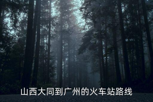 大同到廣州經(jīng)過哪些站點(diǎn)，大同至廣州東730經(jīng)過多少站