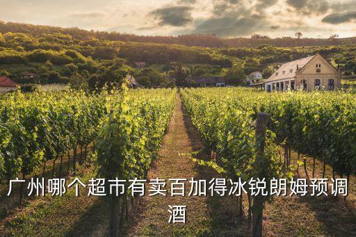 廣州哪個超市有賣百加得冰銳朗姆預調酒
