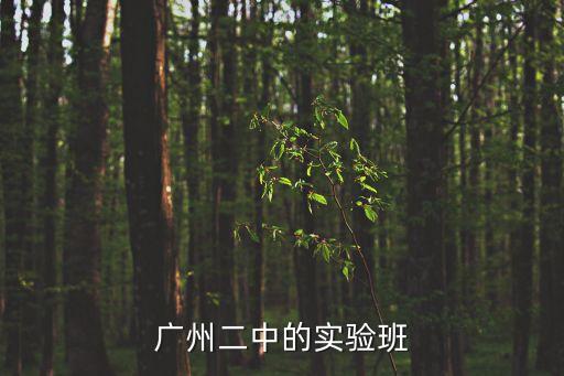 廣州二中的實(shí)驗(yàn)班
