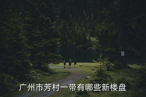 廣州方村有照相關嗎，廣州市芳村一帶有哪些新樓盤