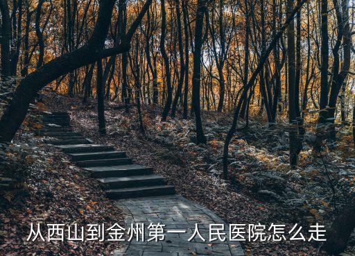 從西山到金州第一人民醫(yī)院怎么走