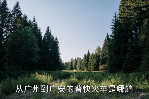 從廣州到廣安的普快火車是哪趟