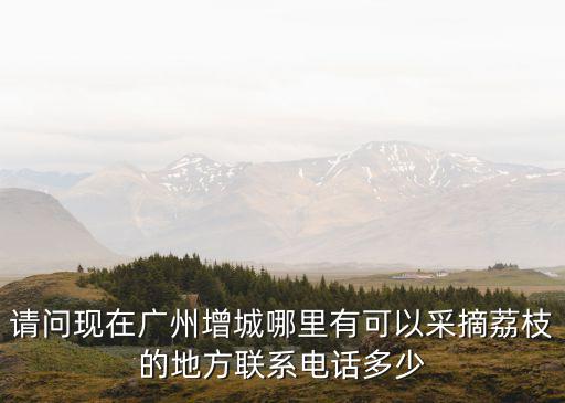 請問現在廣州增城哪里有可以采摘荔枝的地方聯系電話多少