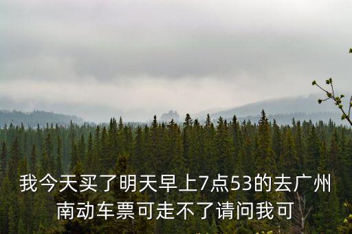 我今天買(mǎi)了明天早上7點(diǎn)53的去廣州南動(dòng)車(chē)票可走不了請(qǐng)問(wèn)我可