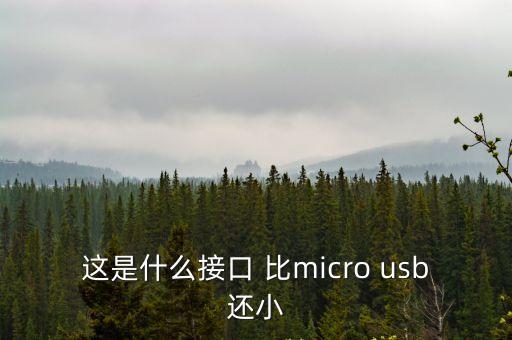 廣州micro加長接口，廣佳源是Micro USB接口生產(chǎn)廠家嗎