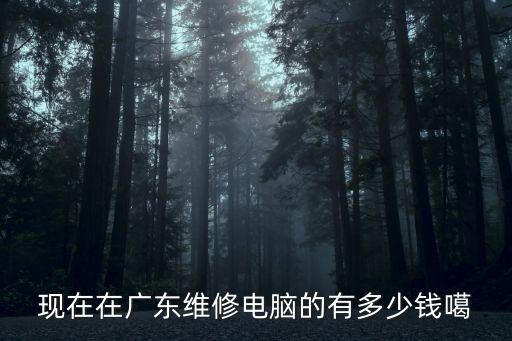 現在在廣東維修電腦的有多少錢噶
