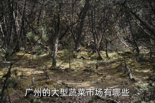 廣州菜市場有什么，廣州的大型蔬菜市場有哪些