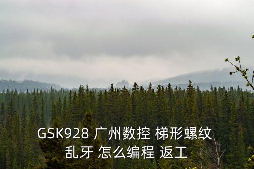 GSK928 廣州數控 梯形螺紋 亂牙 怎么編程 返工