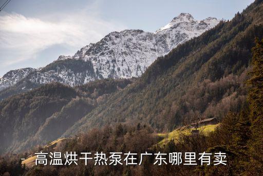 廣州一體式熱泵烘干機(jī)廠家直銷，廣東有哪些環(huán)保烘干熱泵廠家