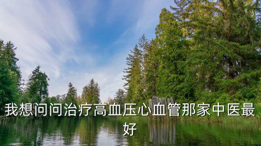 我想問問治療高血壓心血管那家中醫最好