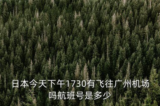 日本今天下午1730有飛往廣州機(jī)場嗎航班號是多少