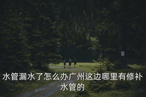 廣州海珠區(qū)地下室漏水修補(bǔ)，廣州市海珠區(qū)哪里有修樓房防水補(bǔ)漏