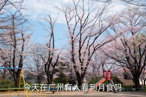 今晚的血月廣州能看到嗎，今晚的月全食廣州能看到嗎