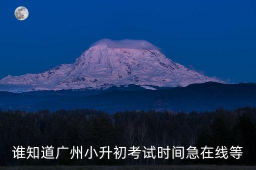 誰知道廣州小升初考試時間急在線等