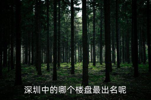 深圳中的哪個樓盤最出名呢