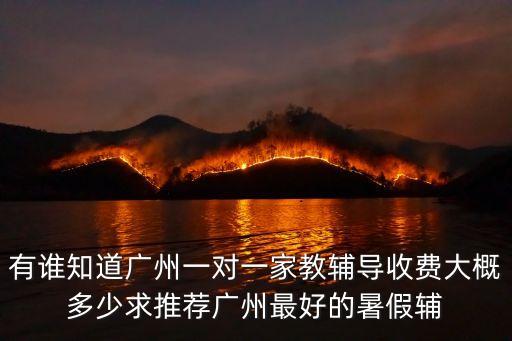 有誰知道廣州一對一家教輔導收費大概多少求推薦廣州最好的暑假輔