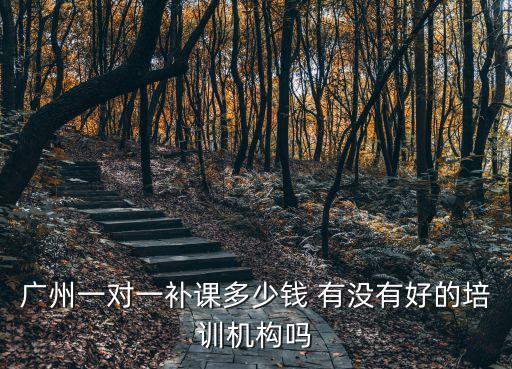 廣州補習機構價目表，廣州一對一補課多少錢 有沒有好的培訓機構嗎