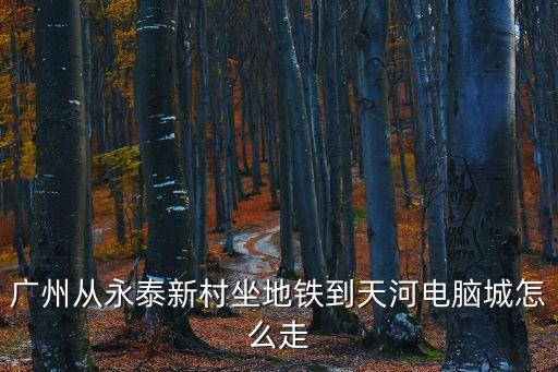 廣州從永泰新村坐地鐵到天河電腦城怎么走