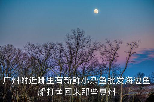 廣州附近哪里有新鮮小雜魚批發海邊魚船打魚回來那些惠州