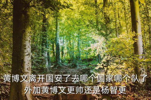 黃博文離開國安了去哪個國家哪個隊了外加黃博文更帥還是楊智更