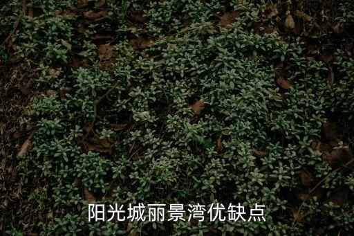 南沙萬達(dá)廣州斜對面新盤，陽光城麗景灣優(yōu)缺點(diǎn)