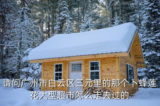 請問廣州市白云區(qū)三元里的那個卜蜂蓮花大型超市怎么走去過的