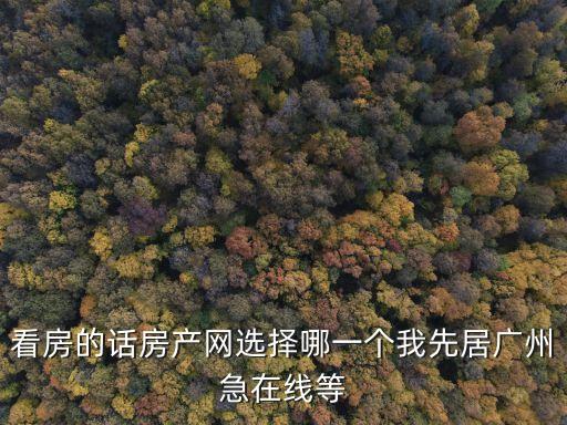 看房的話房產網選擇哪一個我先居廣州急在線等