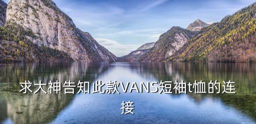 vans廣州城市限定短袖，VANS短袖價位