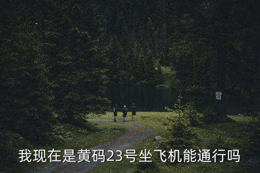 我現在是黃碼23號坐飛機能通行嗎
