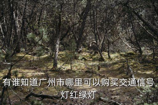廣州榮興路紅綠燈，廣州多路口紅綠燈怎么看謝謝